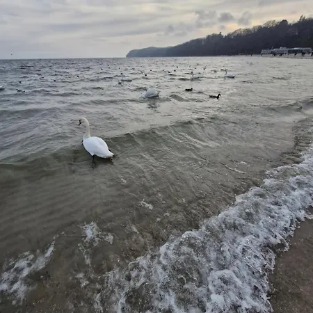 Skwer Kosciuszki Гдыня