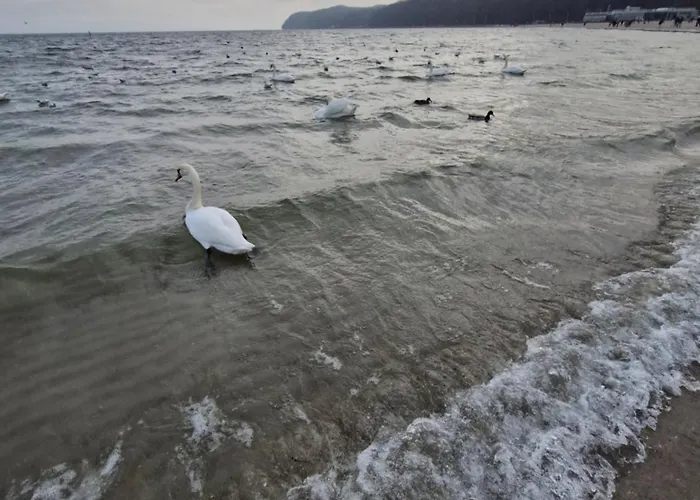 Skwer Kosciuszki Gdynia